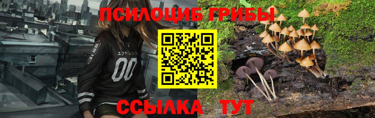 Галлюциногенные грибы Magic Shrooms Удомля