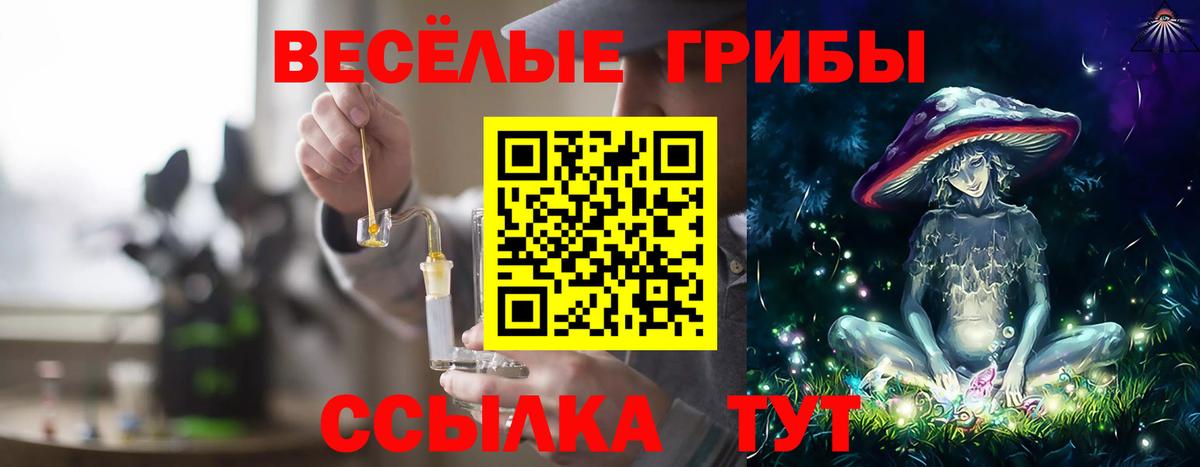 Удомля  Псилоцибиновые грибы ЛСД  Вход с VPN 